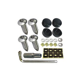 Aootf Tornillos para placa de matrícula de acero inoxidable, 30 unidades, tornillo antirrobo, cabeza Torx de seguridad, resiste