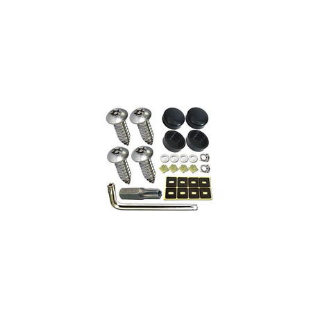 Aootf Tornillos para placa de matrícula de acero inoxidable, 30 unidades, tornillo antirrobo, cabeza Torx de seguridad, resiste