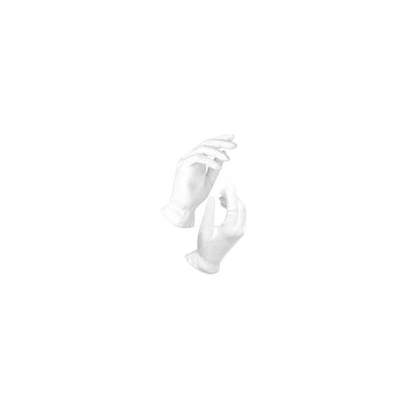 Beauty Care Wear Medium White Cotton Gloves for Eczema, Dry Skin, & Moisturizing - 20 Gloves