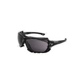 Birdz Gafas de sol deportivas acolchadas de seguridad para motocicleta, color negro con lente ahumada