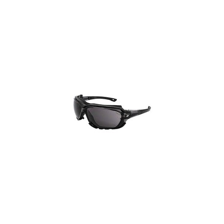Birdz Gafas de sol deportivas acolchadas de seguridad para motocicleta, color negro con lente ahumada