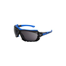 Birdz Gafas de sol deportivas acolchadas de seguridad para motocicleta, color azul con lente ahumada