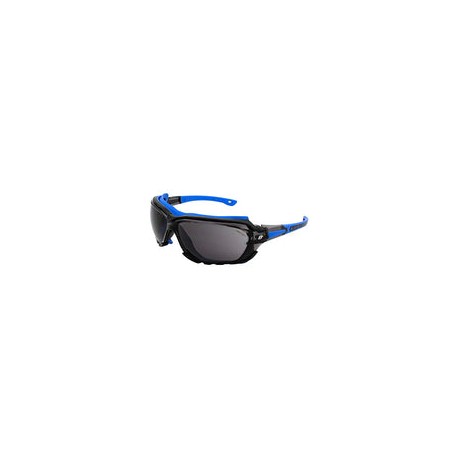 Birdz Gafas de sol deportivas acolchadas de seguridad para motocicleta, color azul con lente ahumada